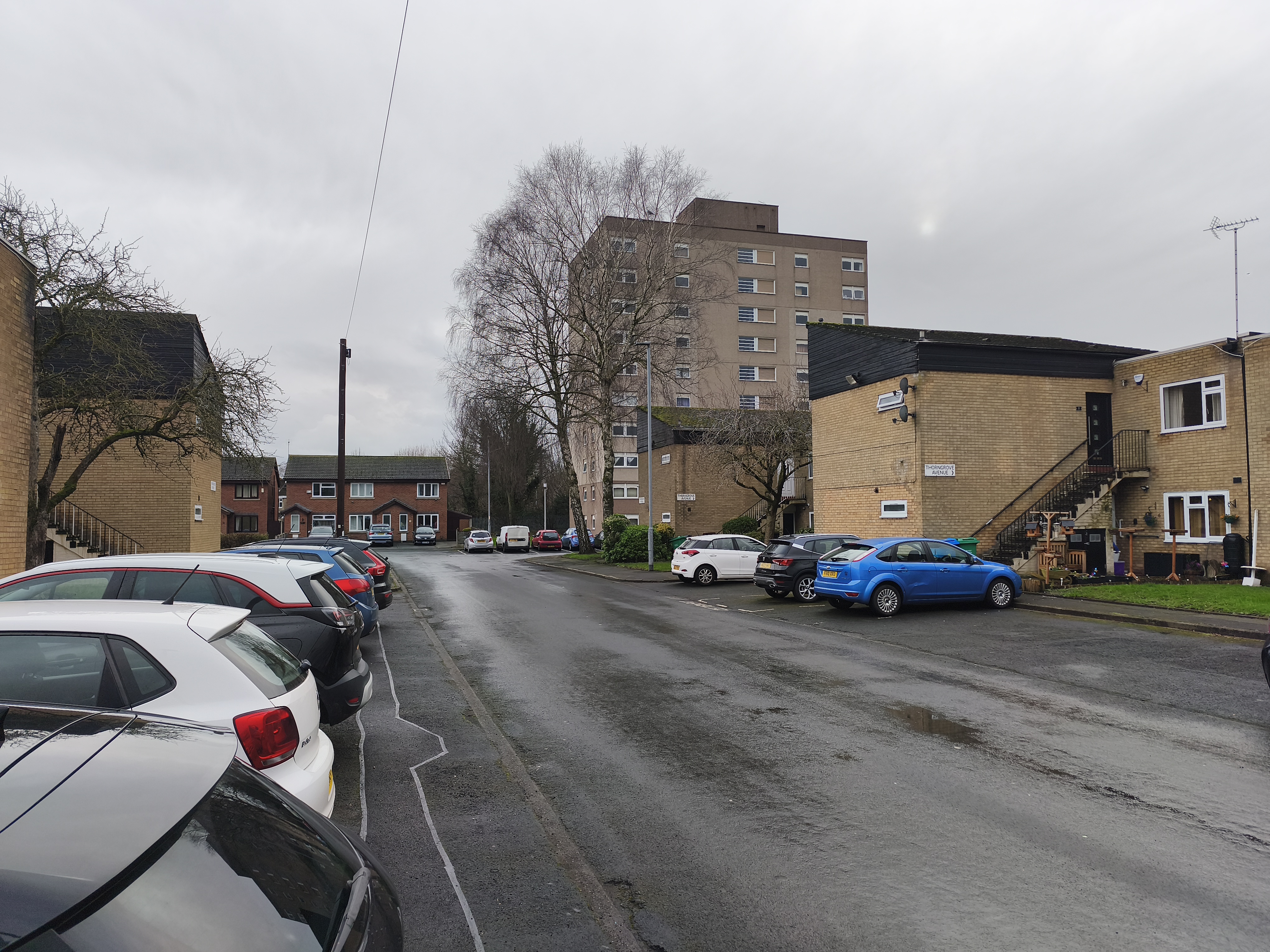Thorngrove Avenue viewed from the street entrance at Petersfield Drive (15th February 2026).